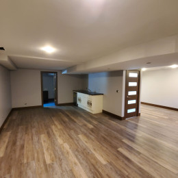 nasement-remodeling-project